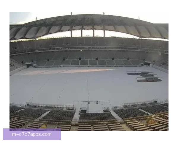 寒潮隐患首尔广岛亚冠移师木洞 寒潮隐患首尔广岛亚冠移师木洞